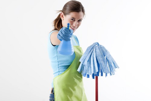 Domestic cleaning in SE18 for a tidy modern home