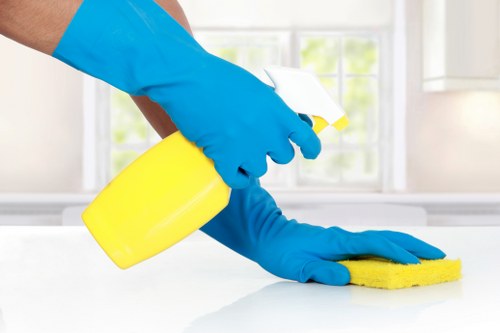 Carpet cleaning complaint process introduction with a professional service setting