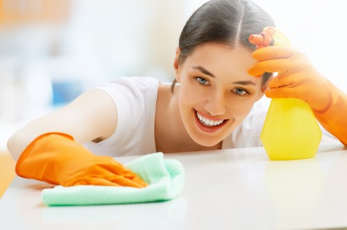 Professional cleaner in SE18 servicing a tidy home interior