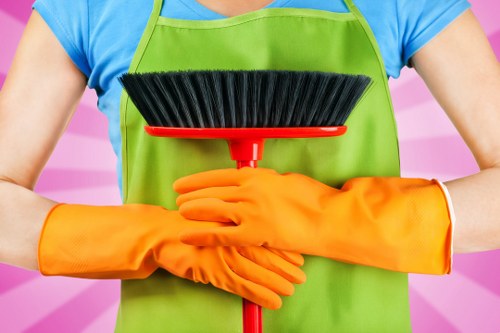 Deep carpet cleaning process in a local SE18 property