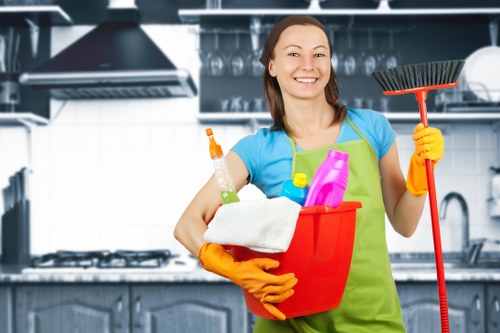 Carpet cleaning process with professional equipment in a property