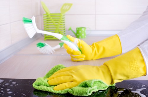 Bright and streak-free windows after window cleaning in SE18