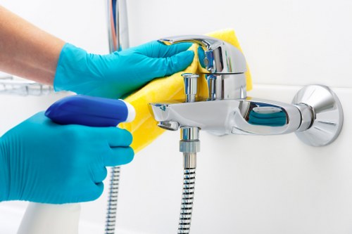 Domestic cleaner in SE18 maintaining a tidy living room
