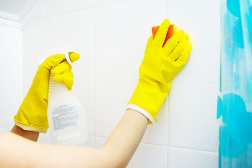 Local oven cleaning service in SE18 removing grease and grime