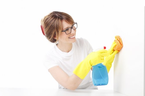 Reliable oven cleaner in SE18 providing a fresh and hygienic finish