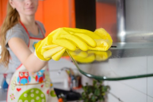 Flexible domestic cleaning in SE18 for apartments and houses