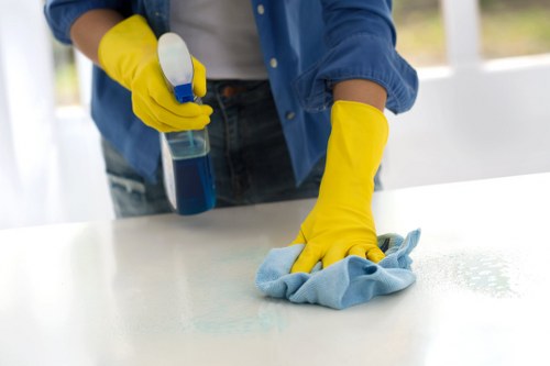 Stain removal and deep cleaning for a living room sofa in SE18