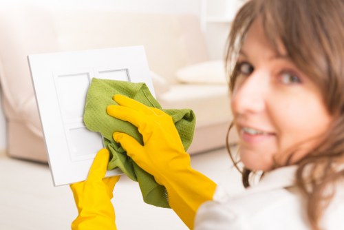 Local SE18 domestic cleaning service for family homes