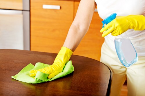 Local carpet cleaning team providing careful floor care in SE18